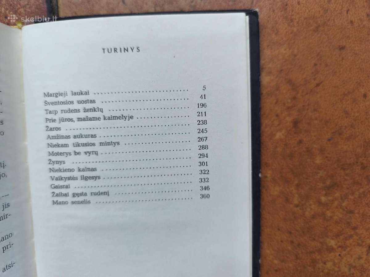 Dedikacija įžymiam rašytojui - nuotraukos Nr. 4