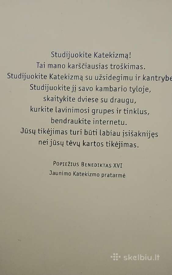 Youcat. Jaunimo katekizmas - nuotraukos Nr. 7