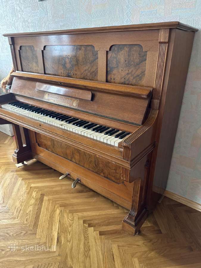Muzikos instrumentas - nuotraukos Nr. 3