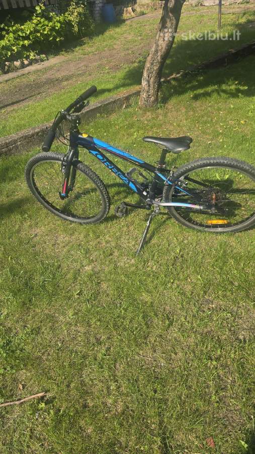 Orbea Mx24 dirt