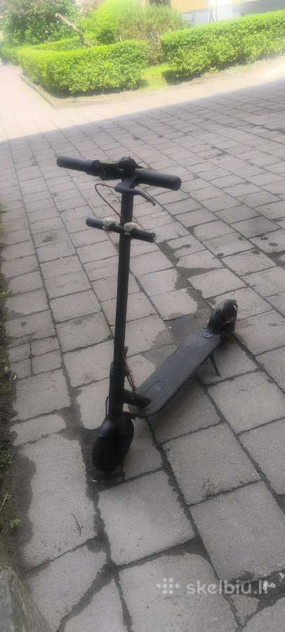Paspirtukas