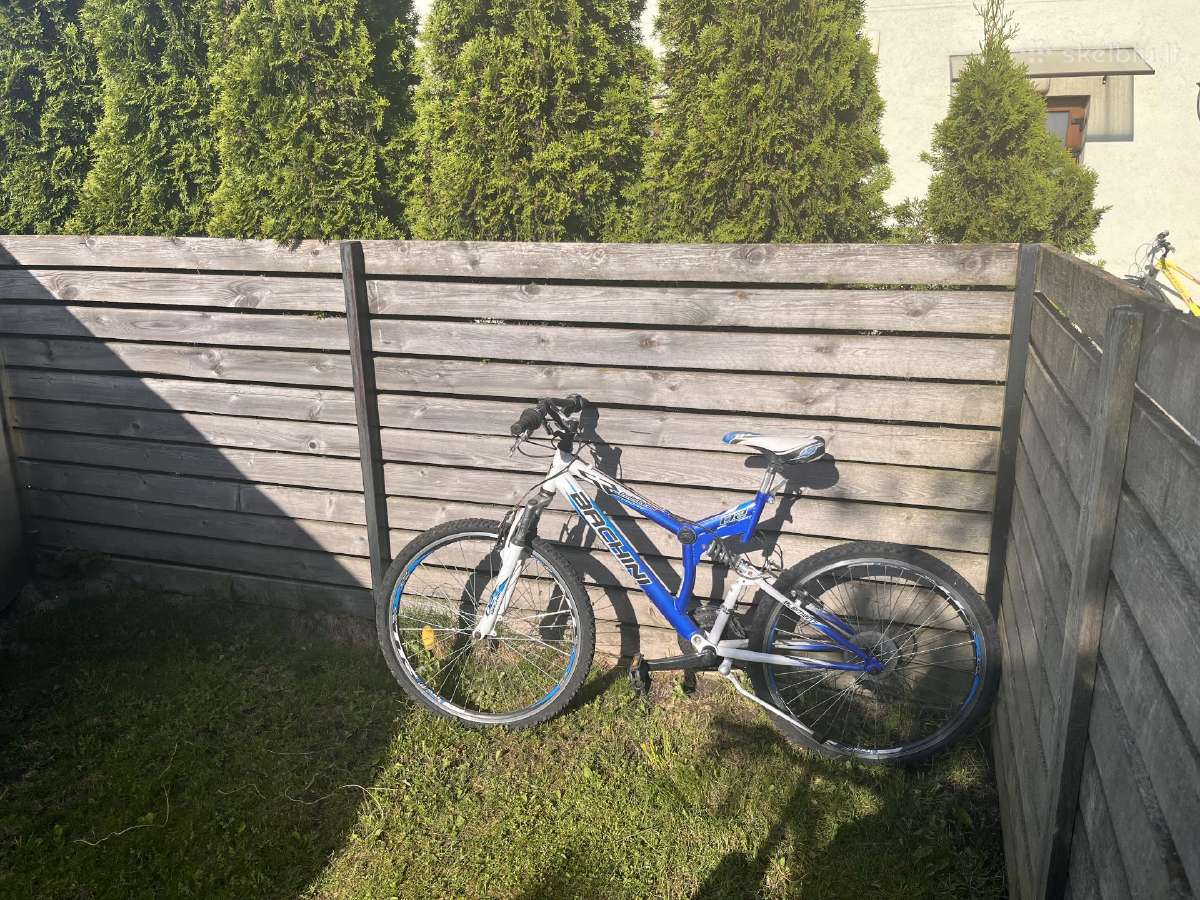 Dviratis