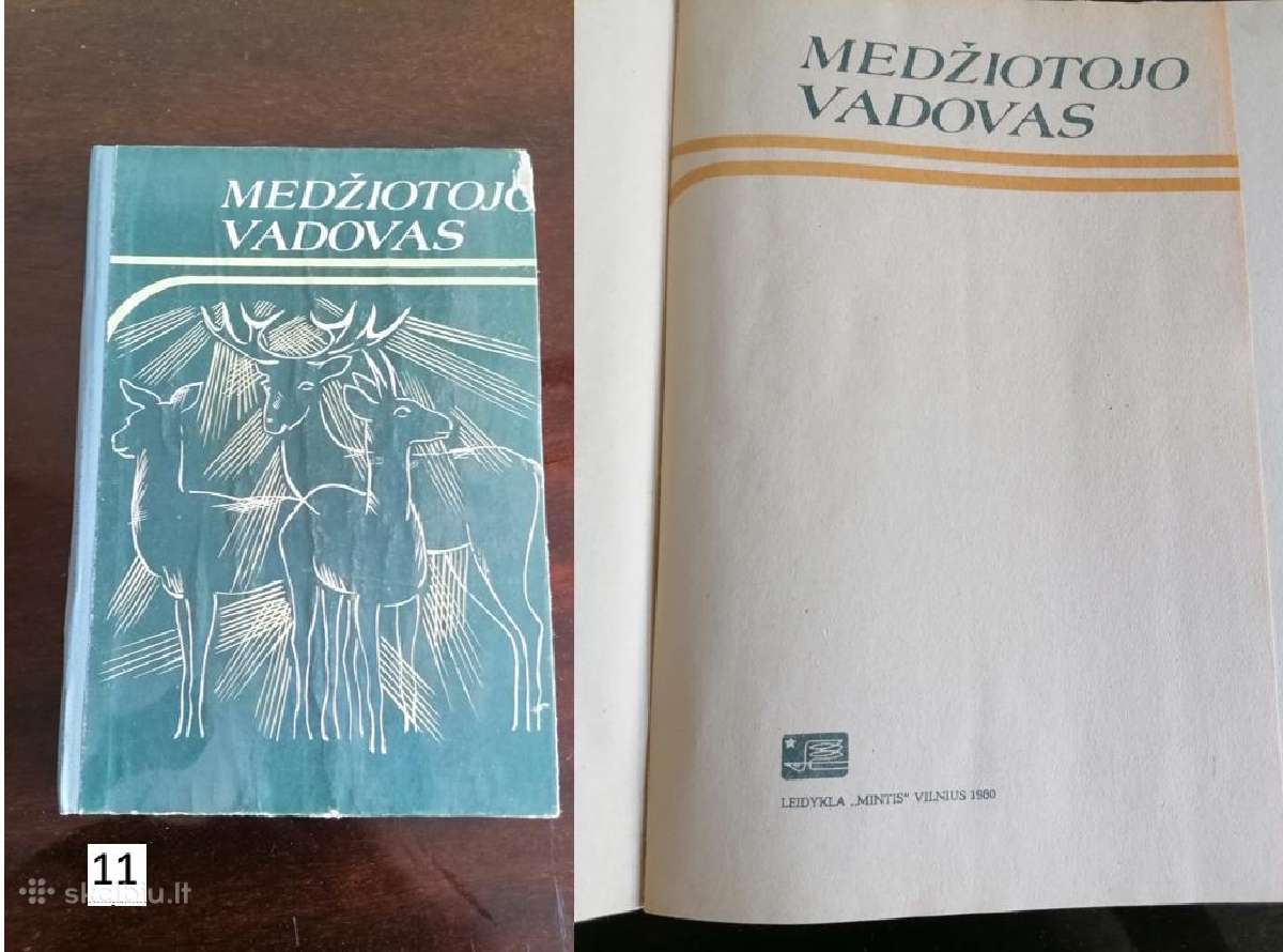 Elnio galvos iškamša, ragai, trofėjai. dekoracijos - nuotraukos Nr. 8