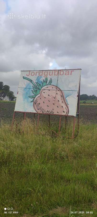 Pirkčiau kambarį bendrabutyje