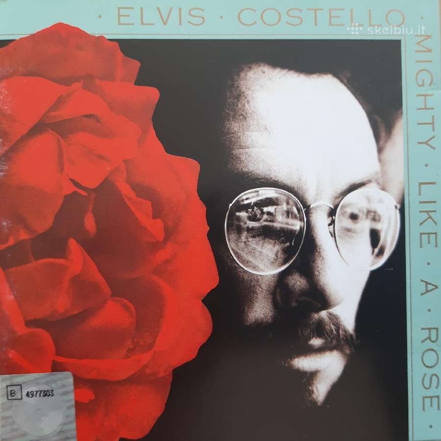 U2, Elvis Costello, Boney M. Robert Plant - nuotraukos Nr. 8