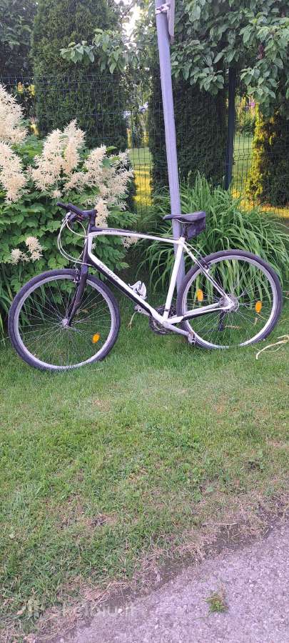 Specialized