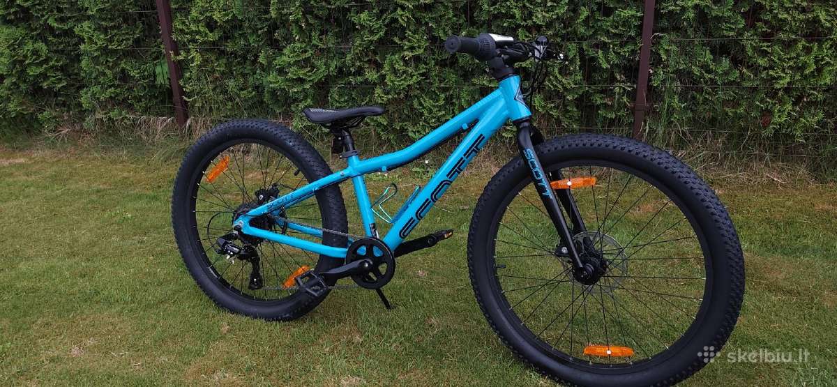 Scott roxter team 24 disc