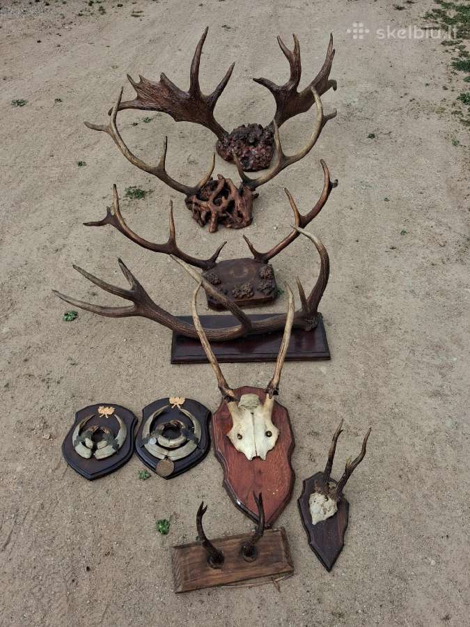 Ragų kolekcija