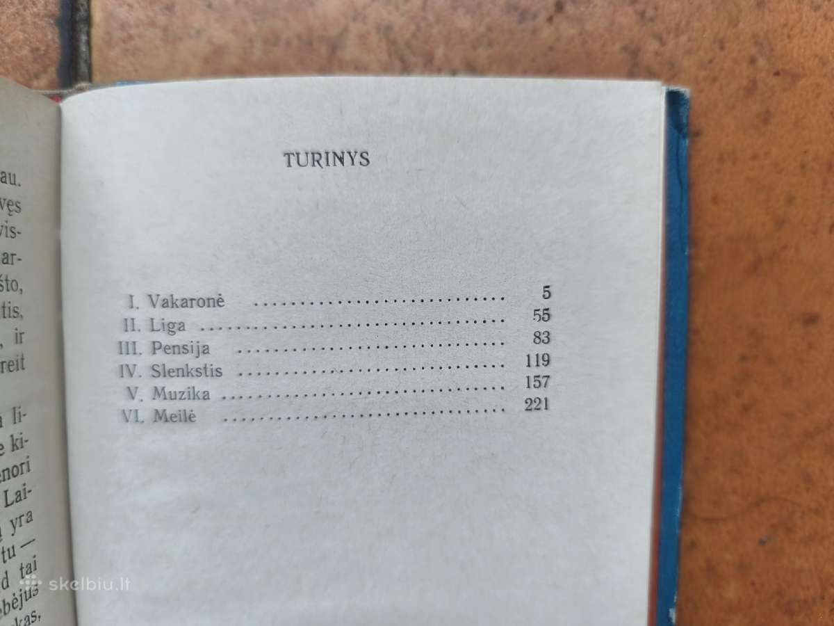 Romanas apie išgėrinėjimus darbe sovietmečiu. - nuotraukos Nr. 4