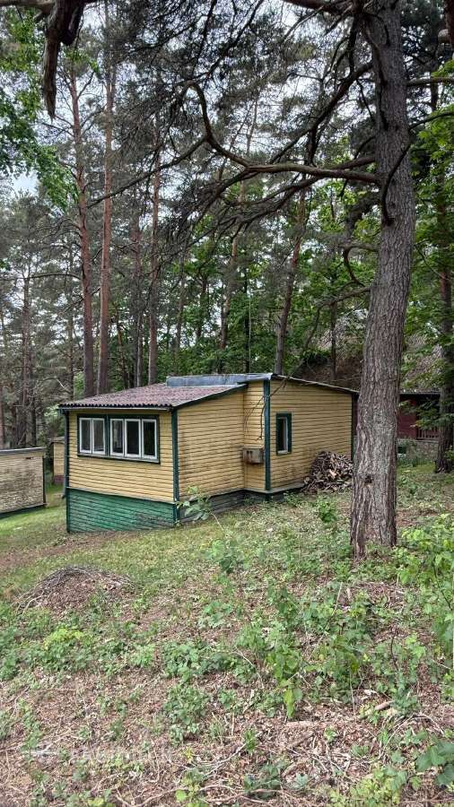Vilos prie Vištyčio ežero