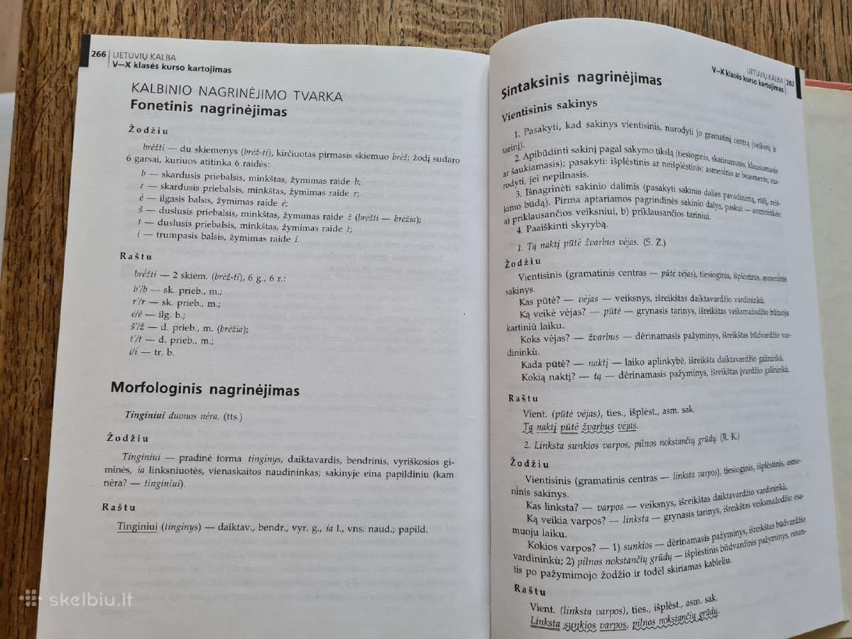 Lietuvių kalba, 10 klasė (B. Dobrovolskis, ir kt.) - nuotraukos Nr. 5