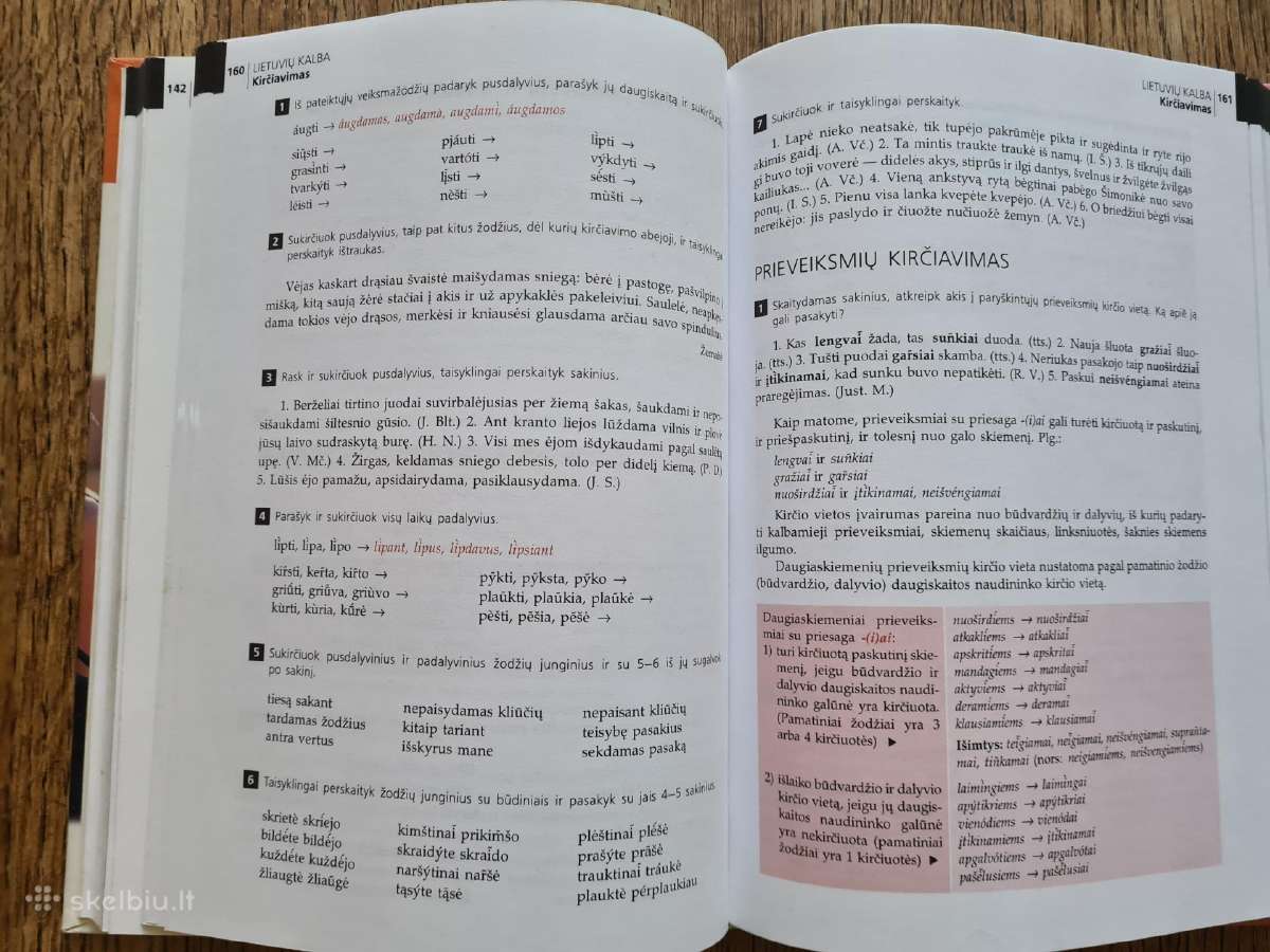 Lietuvių kalba, 10 klasė (B. Dobrovolskis, ir kt.) - nuotraukos Nr. 6