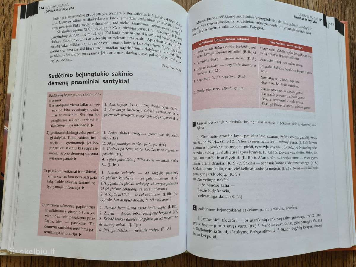Lietuvių kalba, 10 klasė (B. Dobrovolskis, ir kt.) - nuotraukos Nr. 8