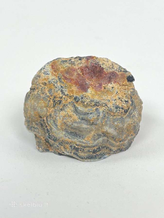 Mineralų kolekcija dėžutėje - nuotraukos Nr. 25