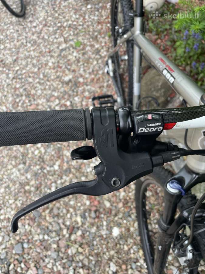 Hibridinis Conway 29 col - nuotraukos Nr. 4