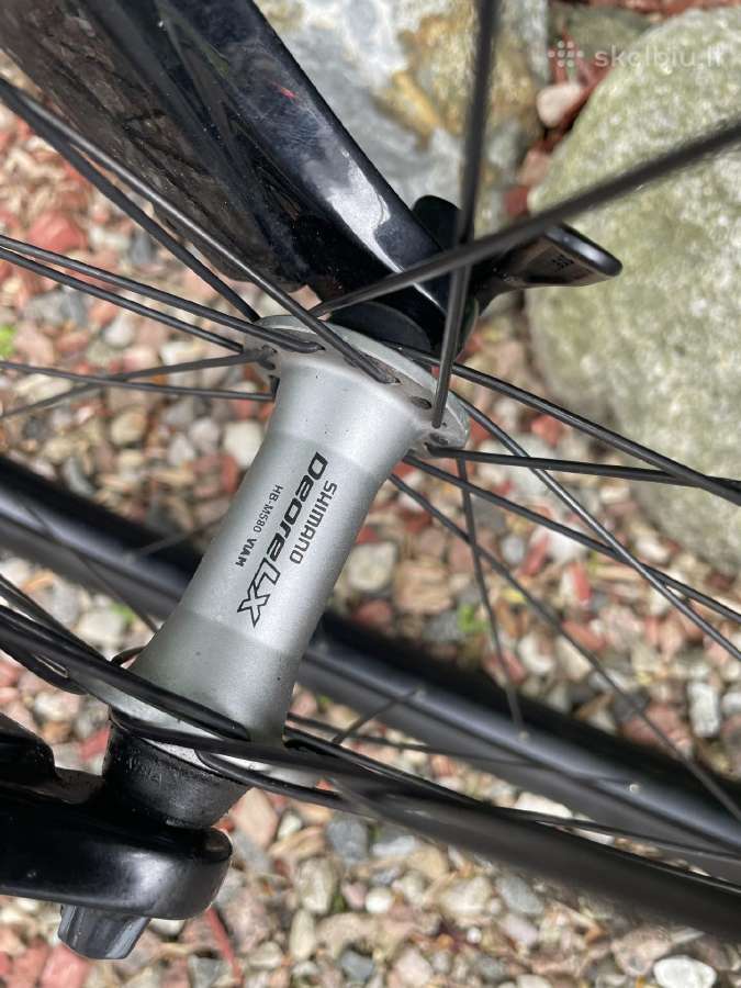 Hibridinis Conway 29 col - nuotraukos Nr. 11