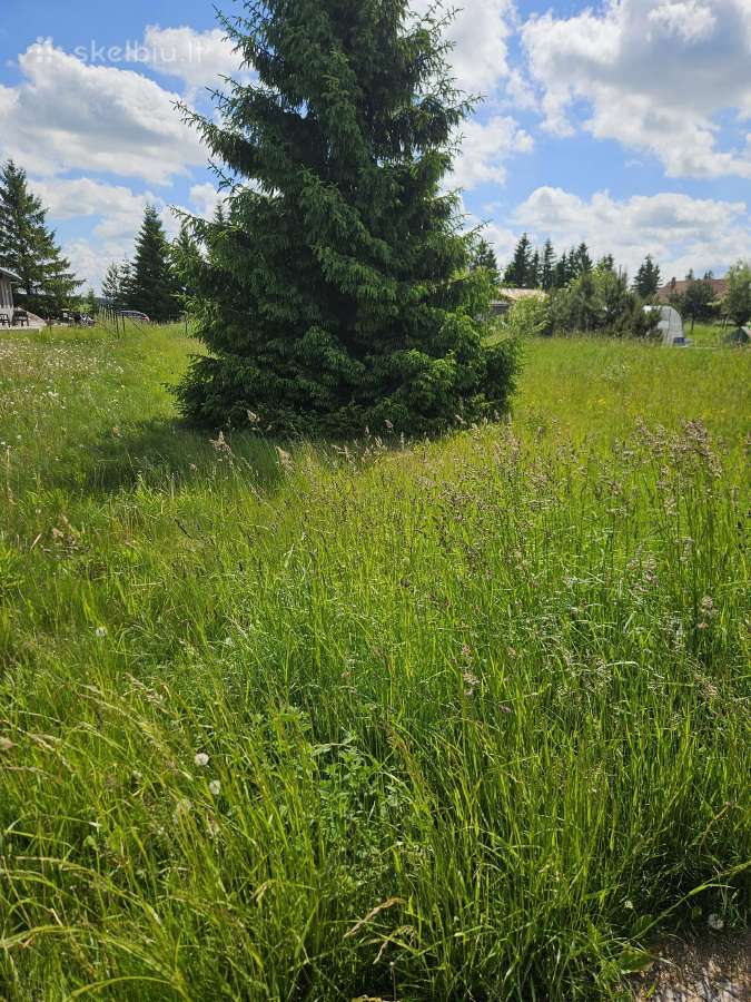 Parduodamas 6a sodo sklypas Rubuliu s/b. Kr - nuotraukos Nr. 3