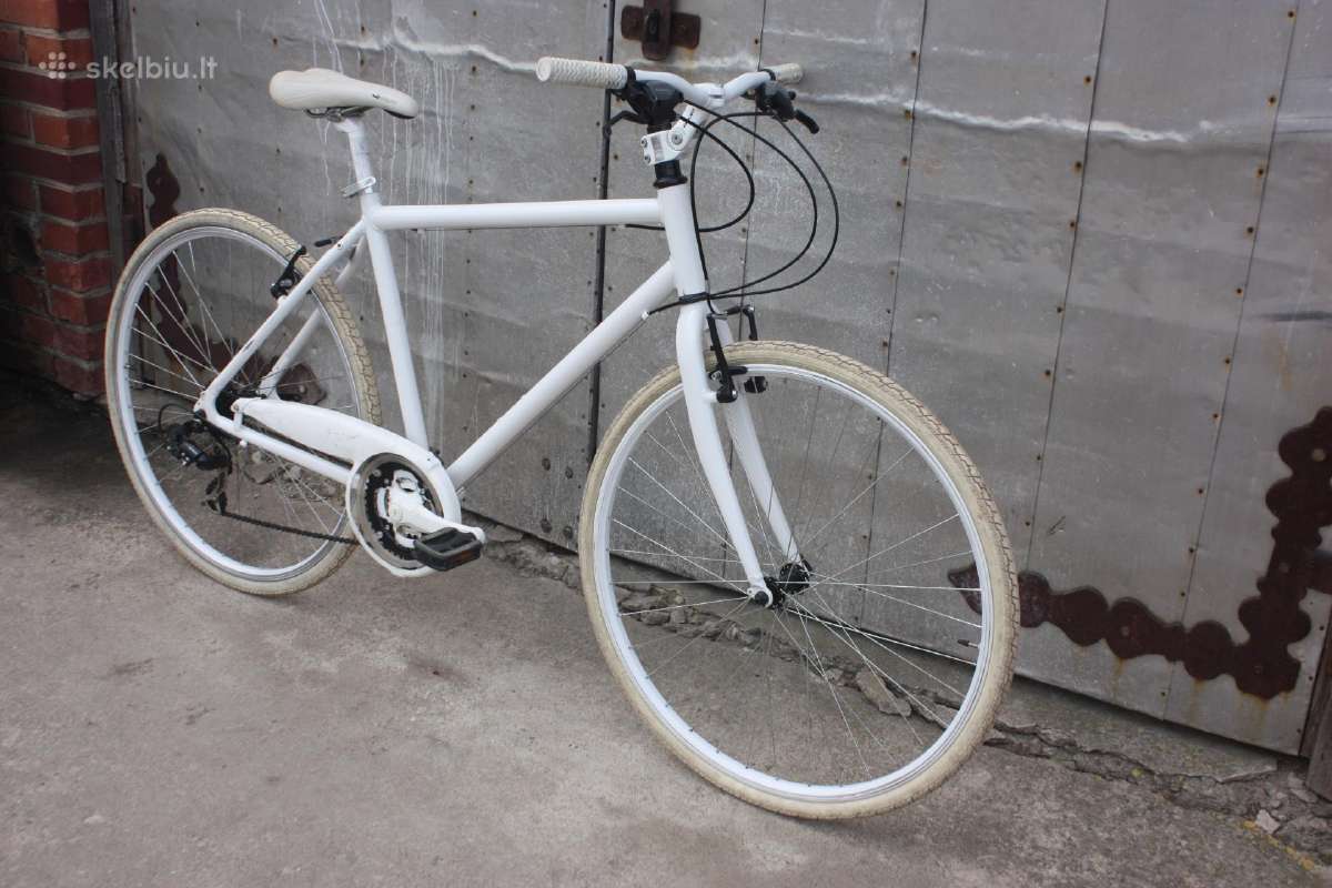 Alligator 28" - nuotraukos Nr. 2
