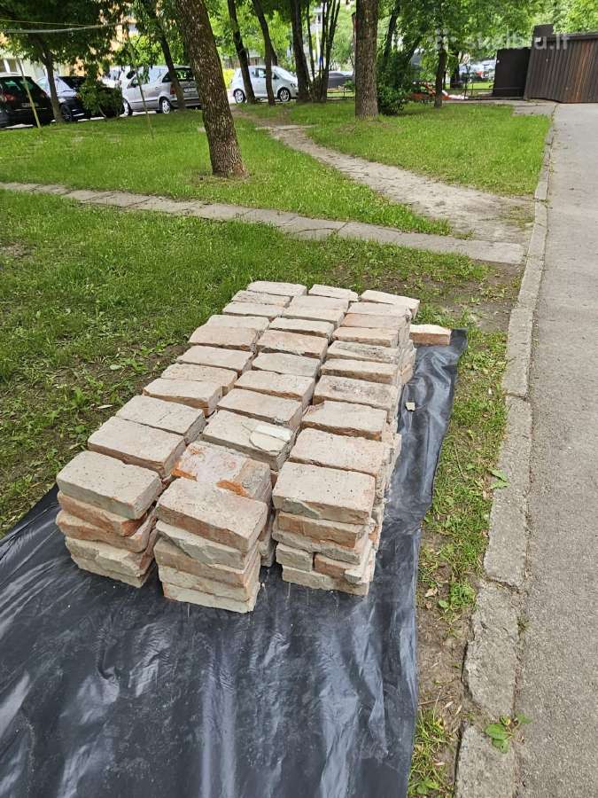 Dovanojamos plytos