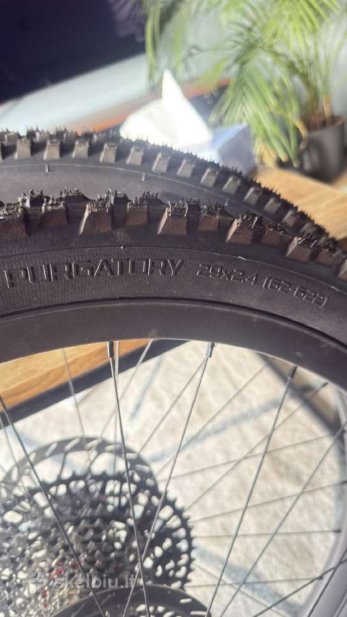 Specialized 29 padangos - nuotraukos Nr. 5
