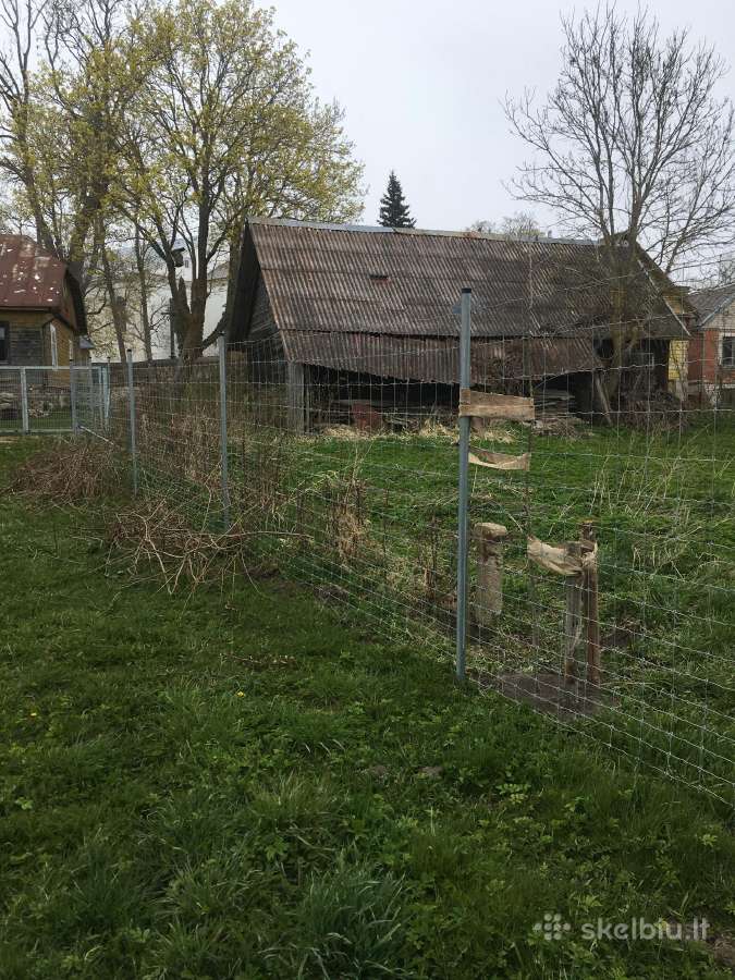 Priimčiau 4 avis į 30arų aptvarą Skapiškyje - nuotraukos Nr. 4