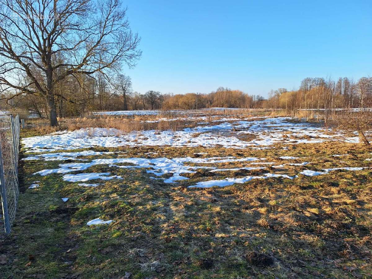 Priimčiau 4 avis į 30arų aptvarą Skapiškyje - nuotraukos Nr. 5