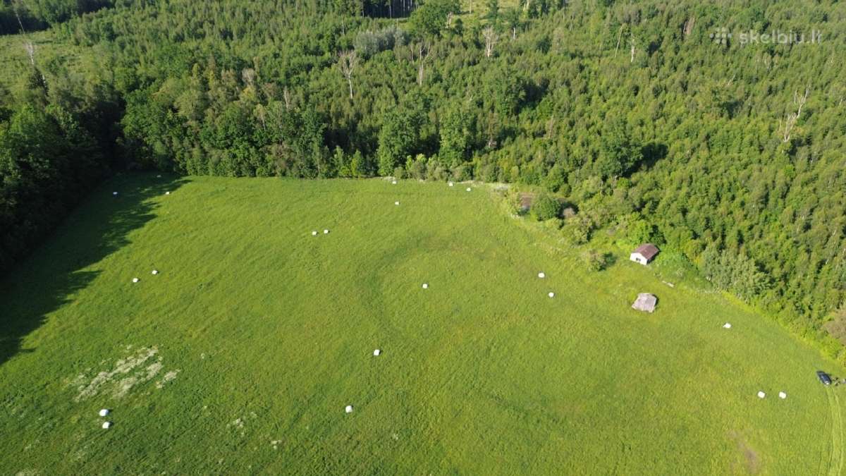 Parduodu sklypą Kauno apskr., Prienų r.