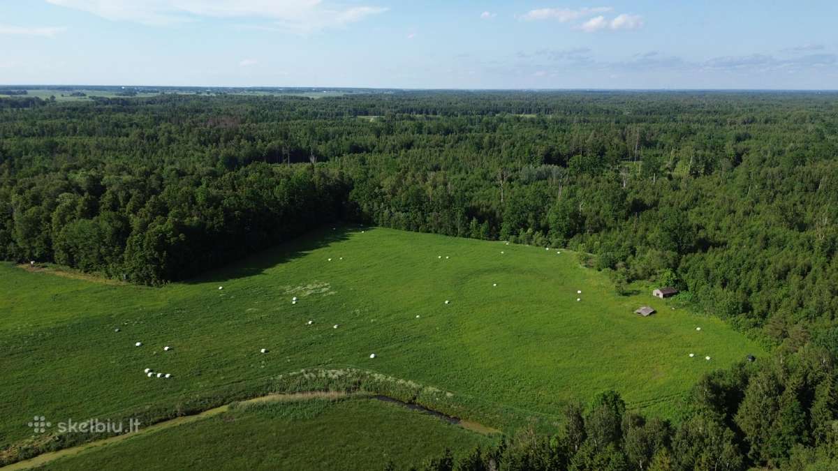 Parduodu sklypą Kauno apskr., Prienų r. - nuotraukos Nr. 2
