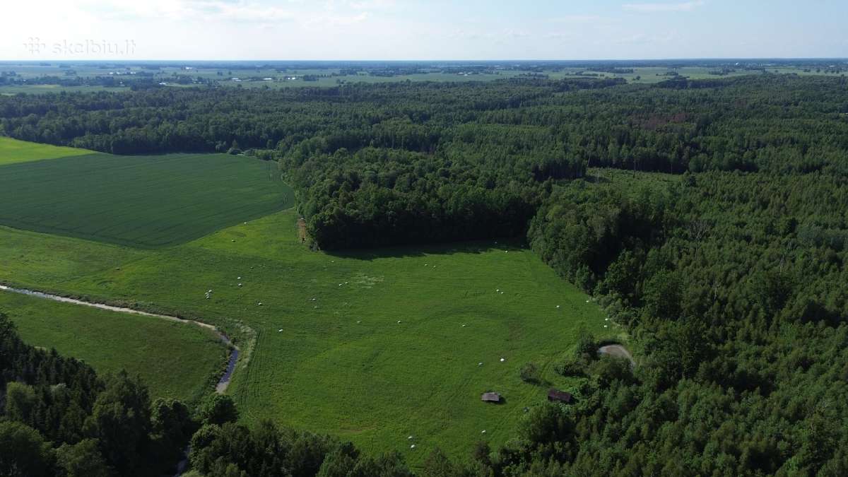 Parduodu sklypą Kauno apskr., Prienų r. - nuotraukos Nr. 3