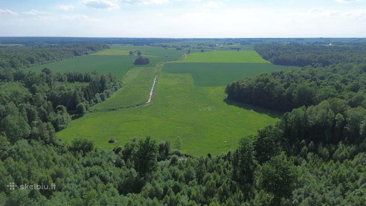 Parduodu sklypą Kauno apskr., Prienų r. - nuotraukos Nr. 4