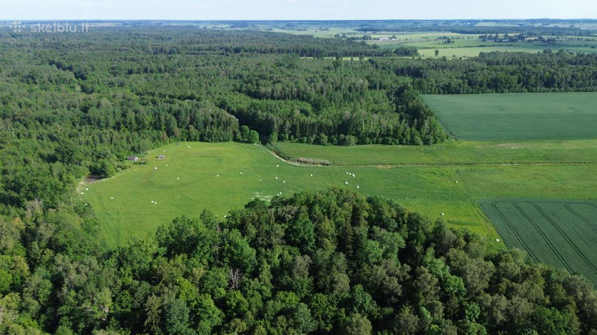 Parduodu sklypą Kauno apskr., Prienų r. - nuotraukos Nr. 5