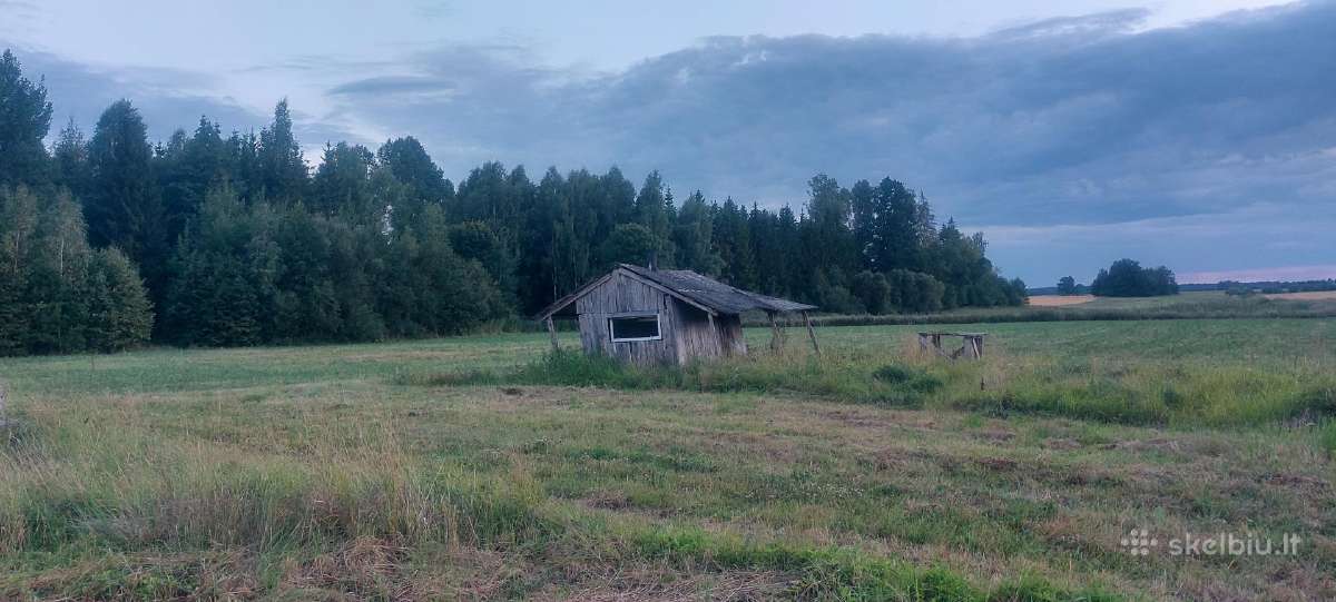 Parduodu sklypą Kauno apskr., Prienų r. - nuotraukos Nr. 8