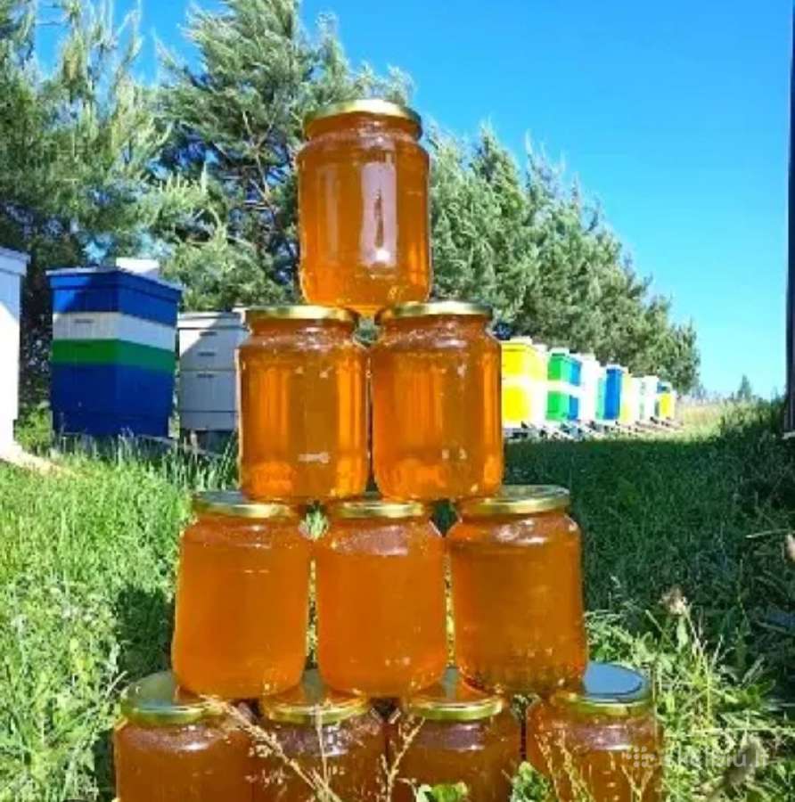 Parduodamas šviežias medus.kaina 1kg 5e.