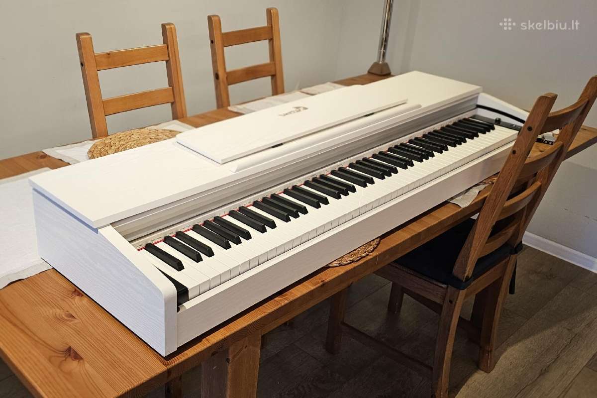 Skaitmeninio pianino Livestar Ldp-15 remontas