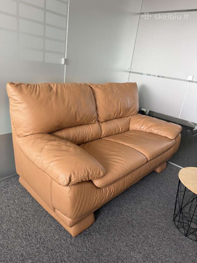 Odinė sofa