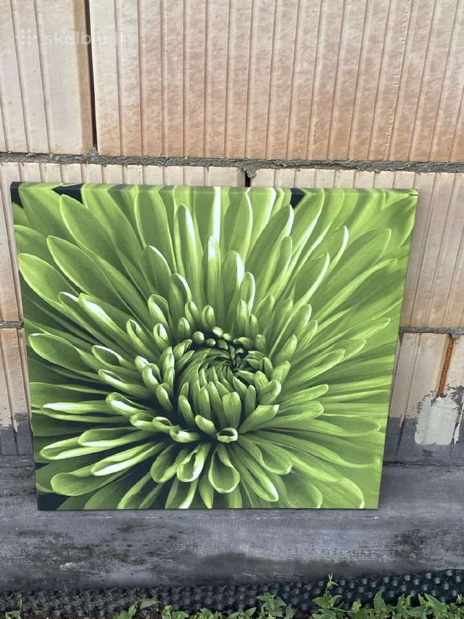 Paveikslas canva