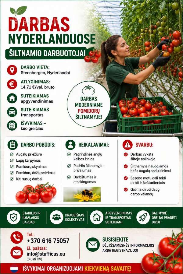 Darbai Olandijoje, Švedijoje,Vokietijoje