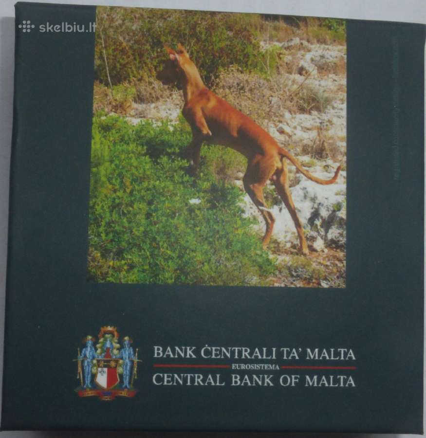 Malta 2026 Faraonų šuo Proof - nuotraukos Nr. 6