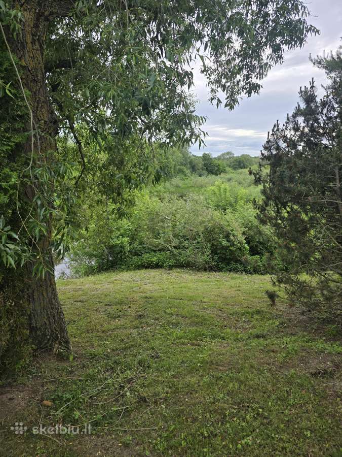 Parduodamas sklypas ant Nevėžio kranto (skardžio) - nuotraukos Nr. 18