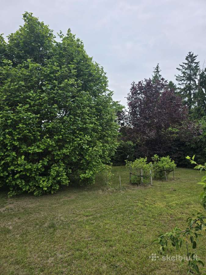 Parduodamas sklypas ant Nevėžio kranto (skardžio) - nuotraukos Nr. 24