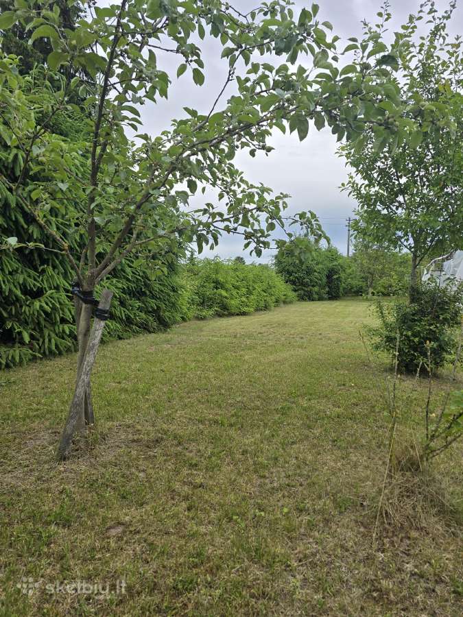 Parduodamas sklypas ant Nevėžio kranto (skardžio) - nuotraukos Nr. 25