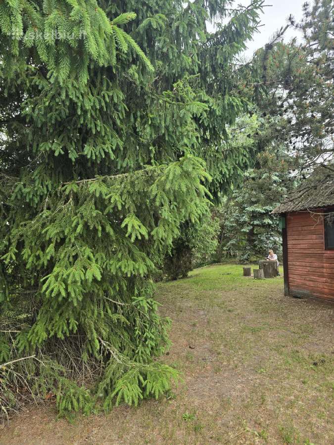 Parduodamas sklypas ant Nevėžio kranto (skardžio) - nuotraukos Nr. 27