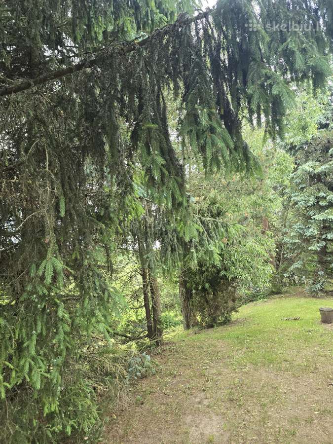 Parduodamas sklypas ant Nevėžio kranto (skardžio) - nuotraukos Nr. 28
