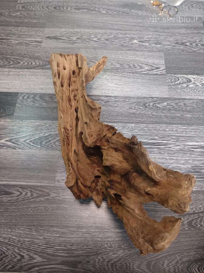 Medžio dekoracija akvariumui - nuotraukos Nr. 4