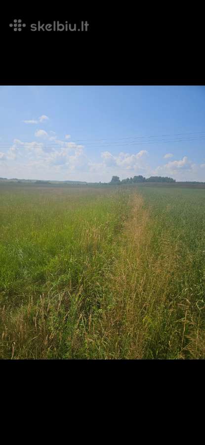 7.2 ha dirbama zeme, netoli Raudenu k, po 4900/ha - nuotraukos Nr. 4