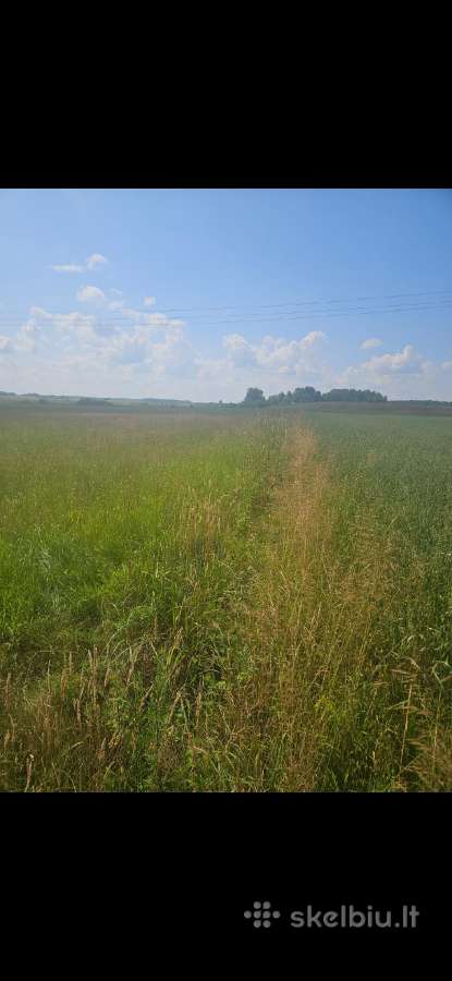 7.2 ha dirbama zeme, netoli Raudenu k, po 5000/ha - nuotraukos Nr. 3