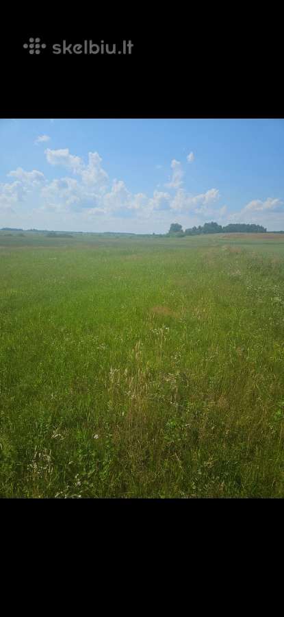 7.2 ha dirbama zeme, netoli Raudenu k, po 5000/ha - nuotraukos Nr. 4