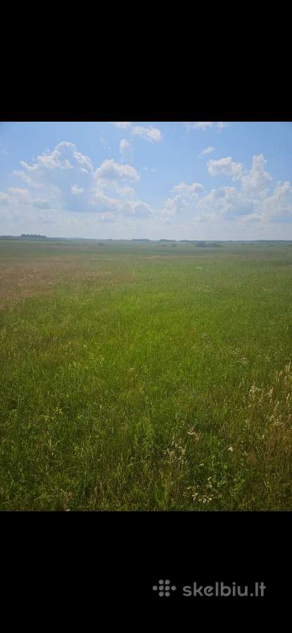 7.2 ha dirbama zeme, netoli Raudenu k, po 4900/ha - nuotraukos Nr. 5