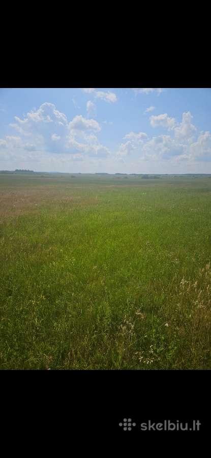 7.2 ha dirbama zeme, netoli Raudenu k, po 5000/ha - nuotraukos Nr. 5