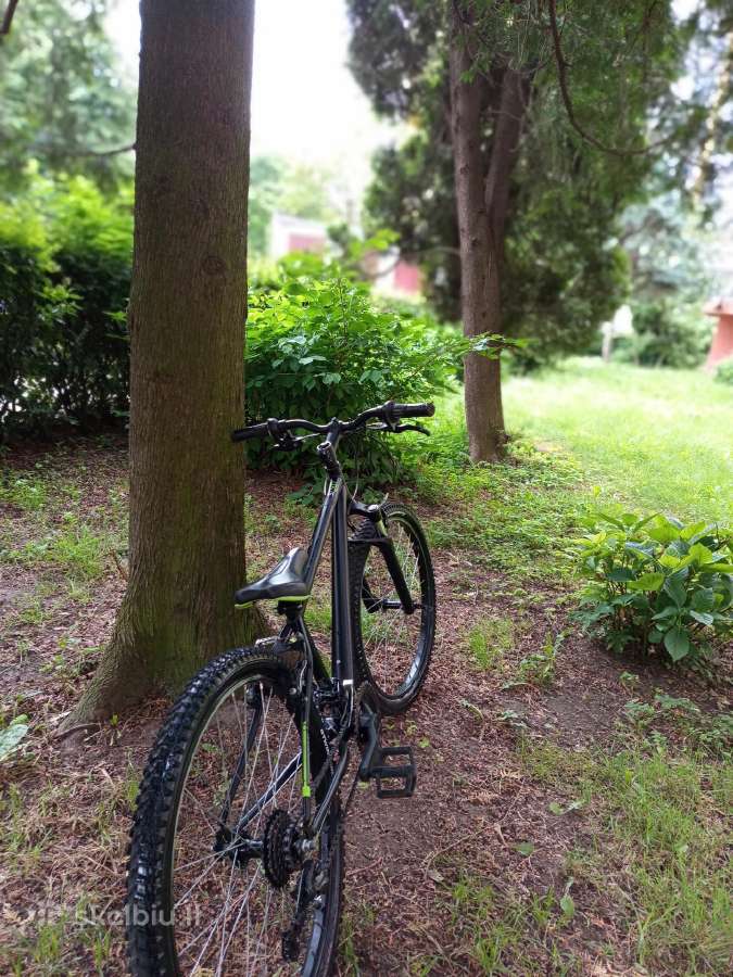 Bike - nuotraukos Nr. 2